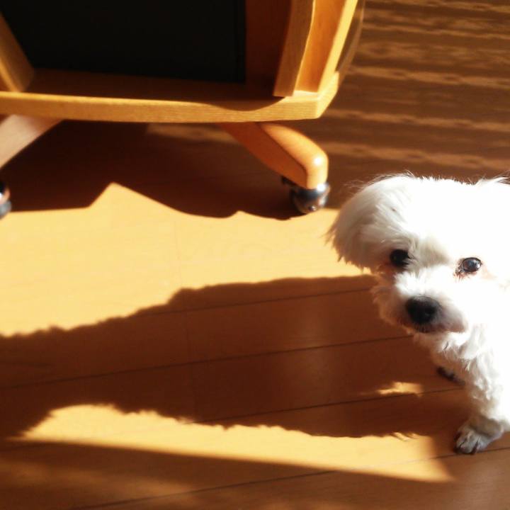 16dafe90 0686 409b 99d2 b22e3f6427a2 1603763872174