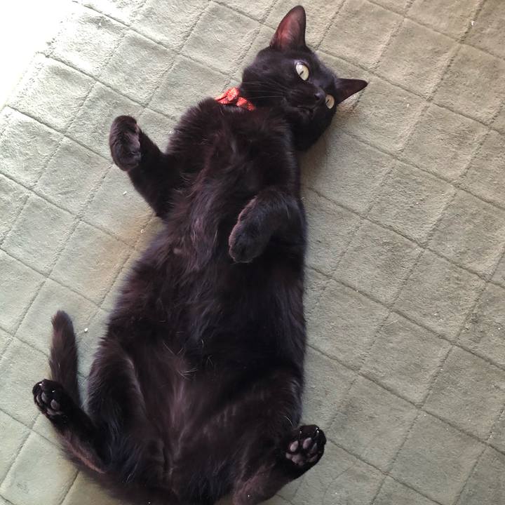 16db3f17 5003 43d3 8089 ff205e1ae81d 1553079593088