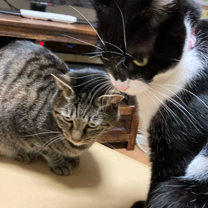 16db7734 9cdb 4dfe 9661 f78ee20f63c2 1647182205899