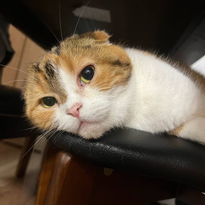 16db78cd 0bf5 44a2 a81d 29dc4aa819ae 1654006254350