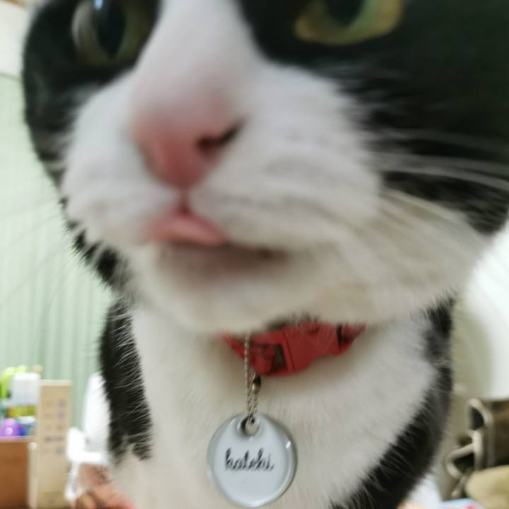 16db8903 e363 4ecc 80dc 58a426eb10d6 1649823073637