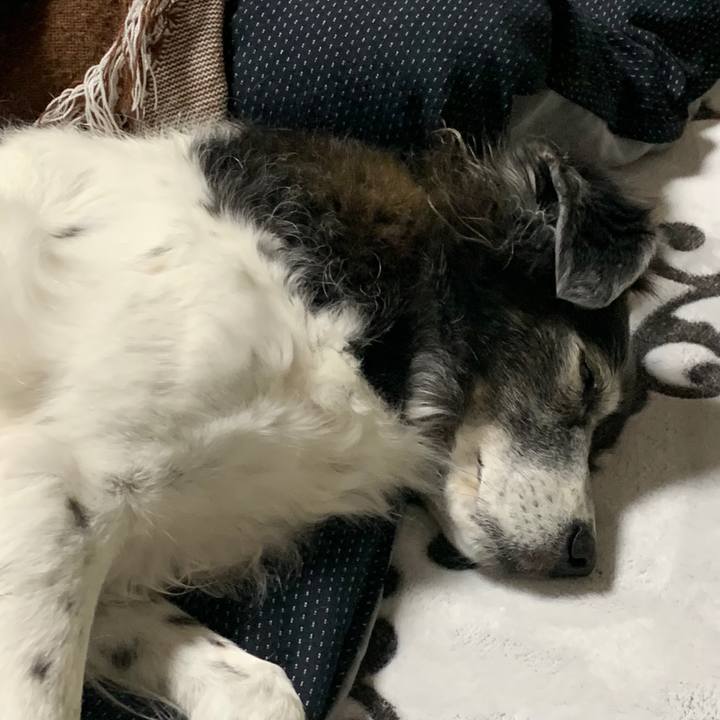 16db9360 1686 4829 8f55 ff70fa5dd623 1605260428662