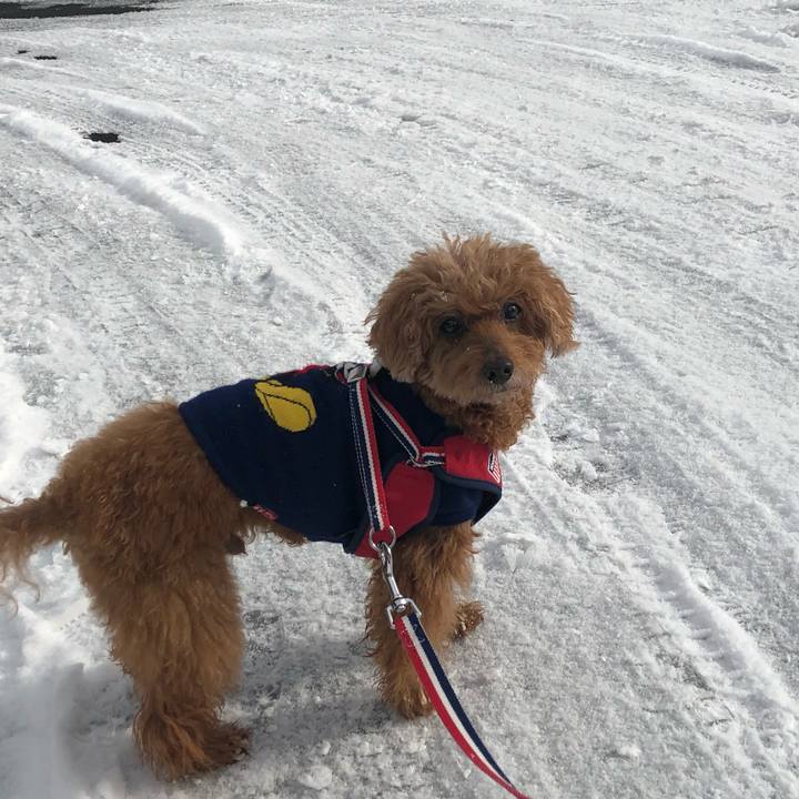 16dbb7df cbbe 4b75 9304 89735b68fa40 1608514384561