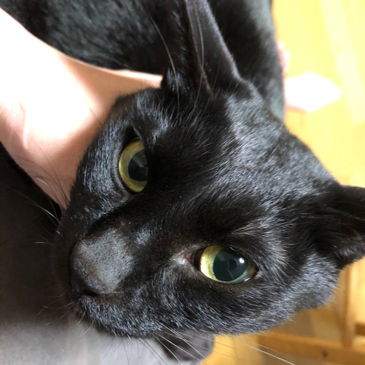 16dbbfc5 e8c1 4d71 b007 18f8a24e2f6c 1698847038486