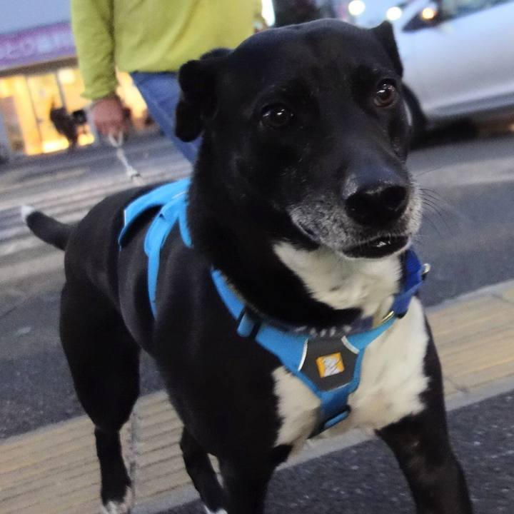 16dbc58b 3927 48af 8ab8 22dbdd2a1705 1682420924646