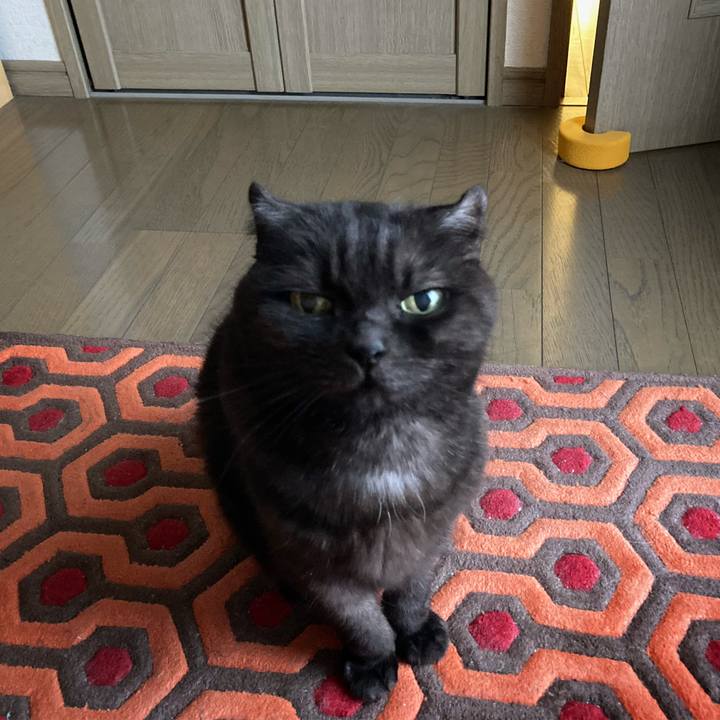 16dbd3af 1ea5 4b5c 8b68 895d1b641fe1 1609032160390