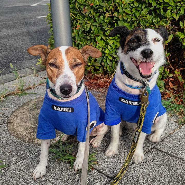 16dbd3c7 c712 4aea ab43 a9b25d94d72a 1691445348803