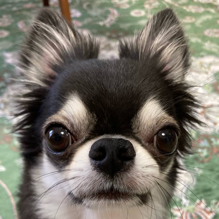 16dbe275 f641 410e b37d f3a156844474 1657407106834