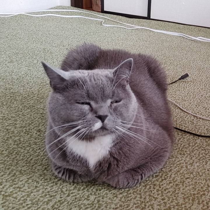 16dc1912 8945 4b5b 9a6b 40d18c8c8c88 1748657571814