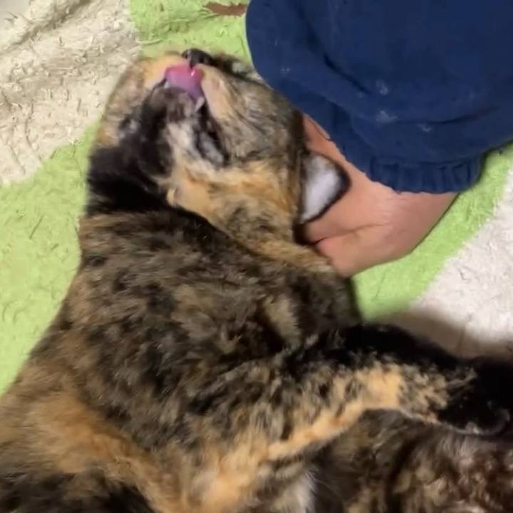 16dc243a e984 476b a00f c39877bc6ba4 1729761893834