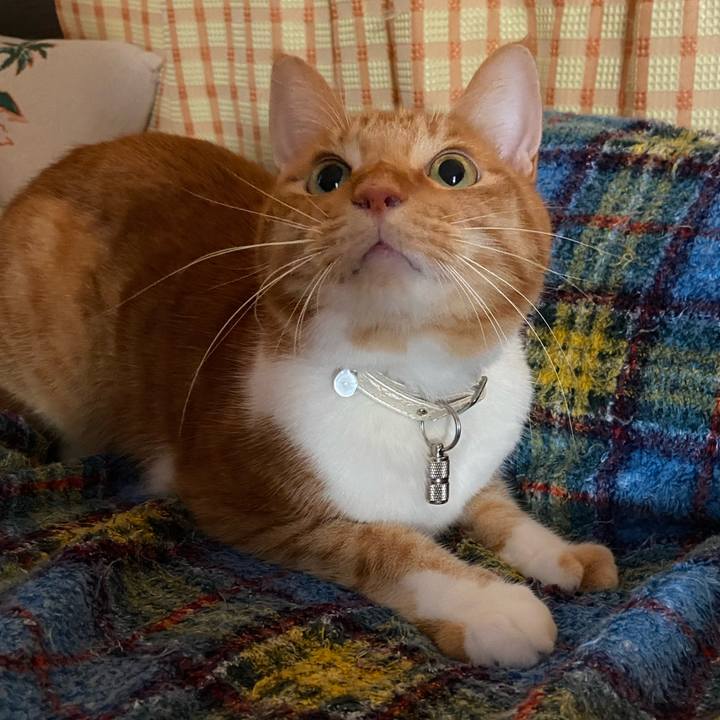 16dc3ed1 acc5 4f23 b122 e2dc2eee53ff 1636965550139