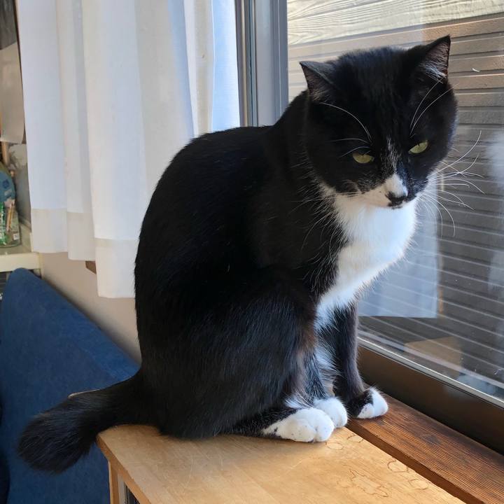 16dc806f c831 406b ab92 0313c6f5e96e 1546234778974