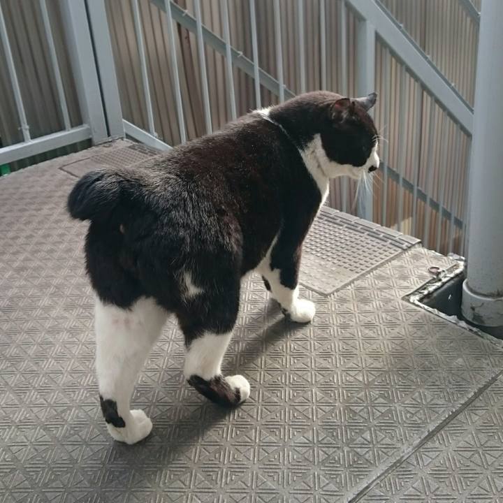 16dca2bf 26fc 44b9 8542 9df5d9d6a5da 1524784524547