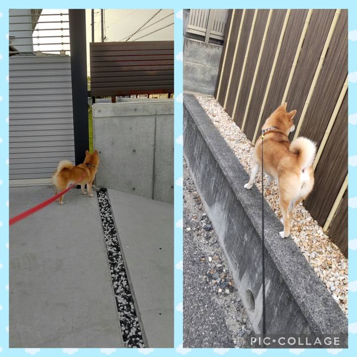 16dca3f9 33ac 42b1 bd59 d72c475ad7da 1752210955840