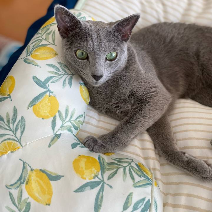 16dcb368 772b 47ef aae7 905bc9725c11 1633399570092