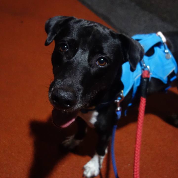 16dcddbc 0106 4ccc b970 d7d9ae80d8f8 1629110294530