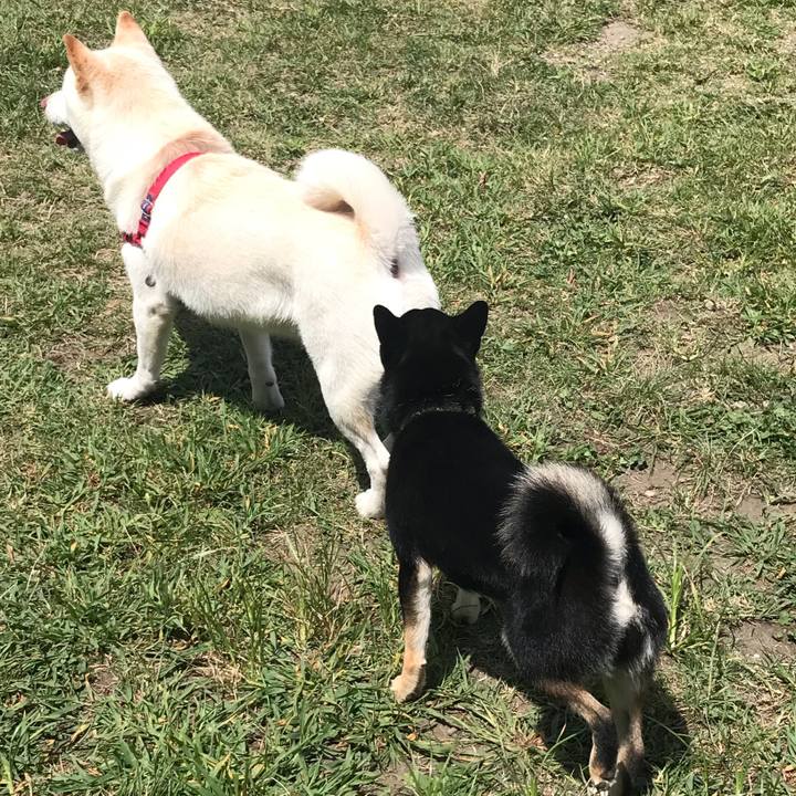 16dd0a36 203a 4e53 9d57 fc58a45fd404 1534649427306