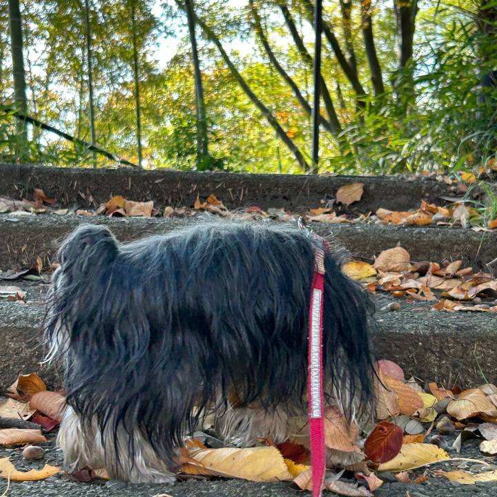 16dd4938 5fe5 4a71 adb7 2c78cac8e95e 1668219553483