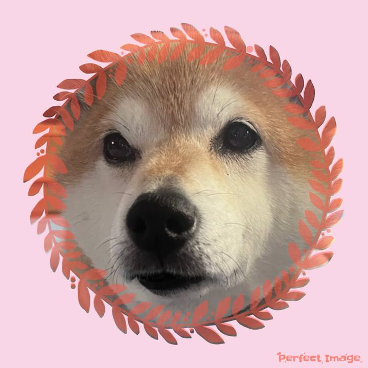 16dd7b71 4d70 4c83 8d7a c77ff9a64070 1718787911310