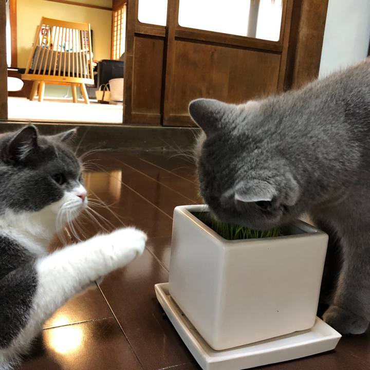 16dd8784 0129 47eb 9fbc f68e99a77b39 1556492873502