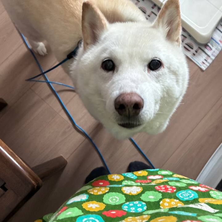 16ddd2a5 d81e 4f77 b139 818c2291e347 1768198077809