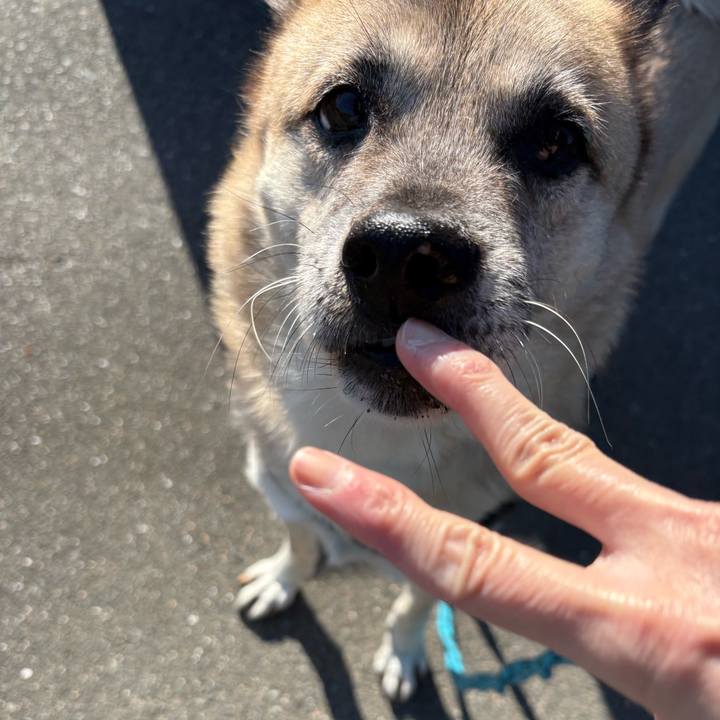 16ddedfb 2f95 426b 9281 362babece82e 1765284879093