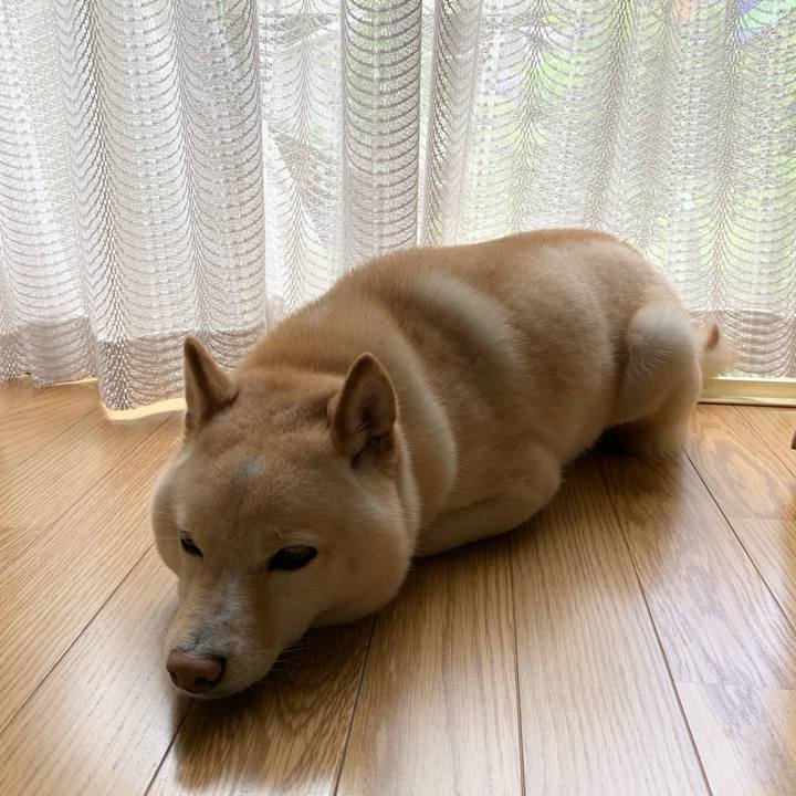 16de25fb 5683 4a04 81c4 f6c37ac0fa31 1625880072283