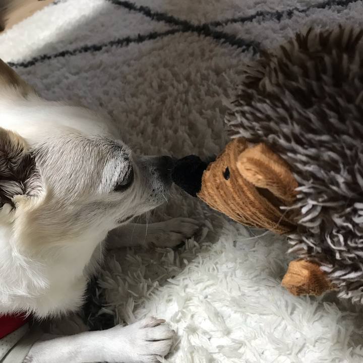 16de5ae5 00d0 4e4f 95bf 0114f81f2b74 1595414930194