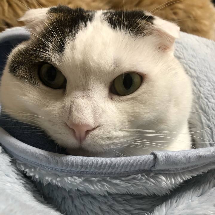 16de5e4d ddc4 40c2 8f4d 681505d60555 1580644400909