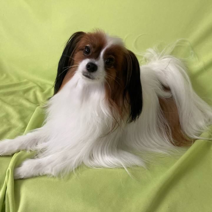 16de66d1 403b 4e98 8499 48b39c8811d0 1671321990885