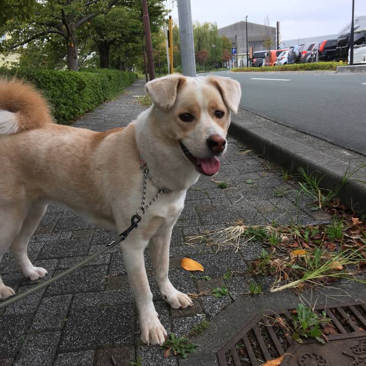 16de6c24 3b7a 47b7 8816 dfd62bf83565 1507853335114