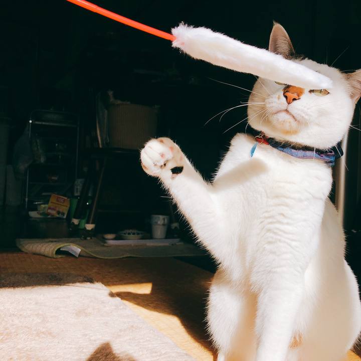 16de77cd 332b 4f68 bb2f 0f11fda47a49 1515337090926