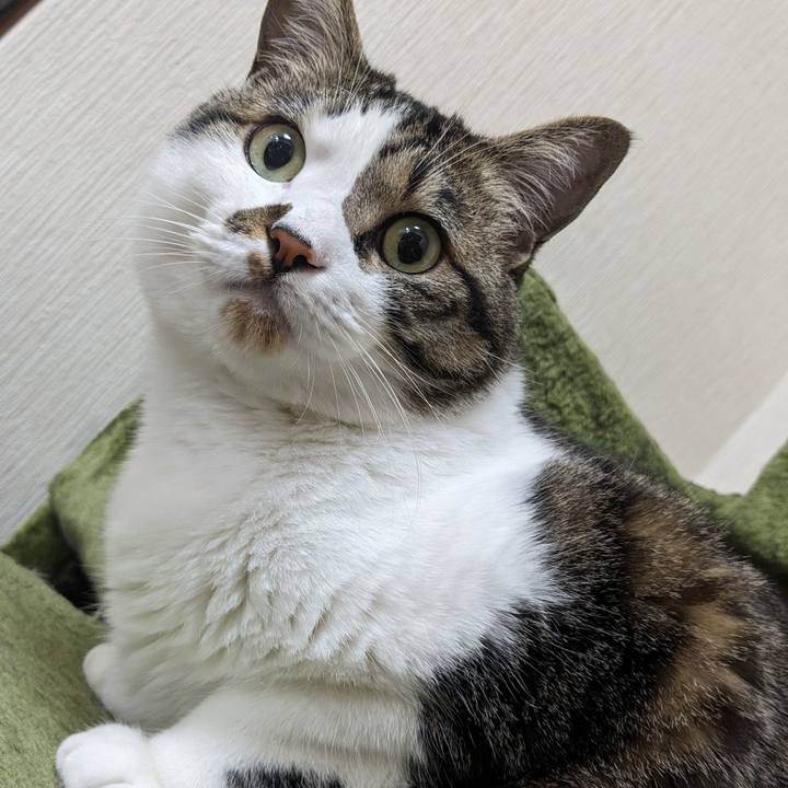 16de7a55 6d53 44cd 8142 55ace9b2ba8a 1716352526367