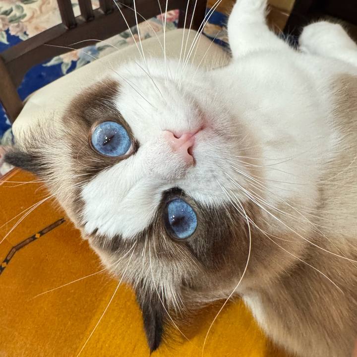 16de7b7c c3c0 48c5 b07e 1ae31e7947e8 1772152944638