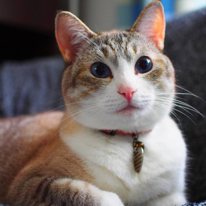 16de8b4b f1ff 4af8 8922 b1ee8d94c0bb 1594699571923