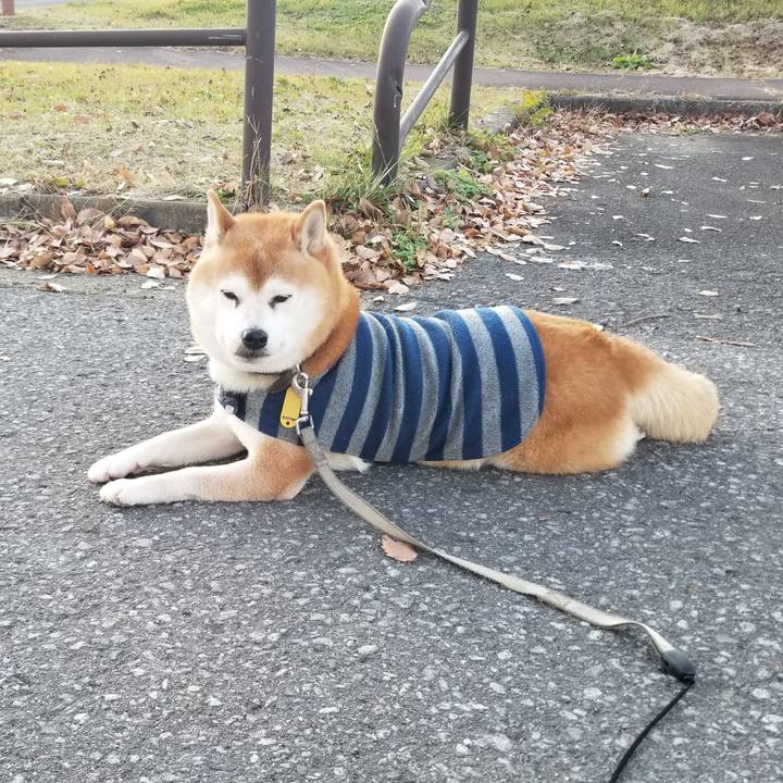 16df468c 56a5 4638 98c3 7838f4c8146d 1637131354882