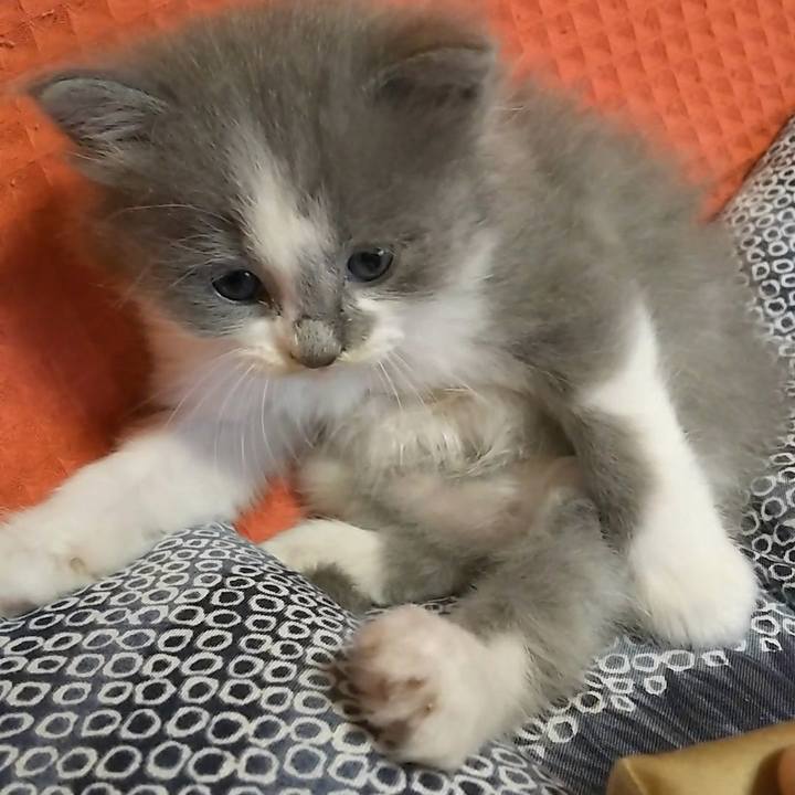 16df86d8 7548 437c 8db3 6fdb5e885f4e 1558264358815