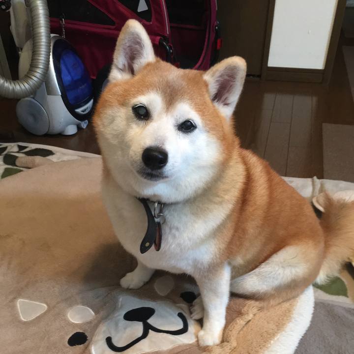 16dfd0cb dbb4 4b1f 8520 ad5065db07a5 1561862310632