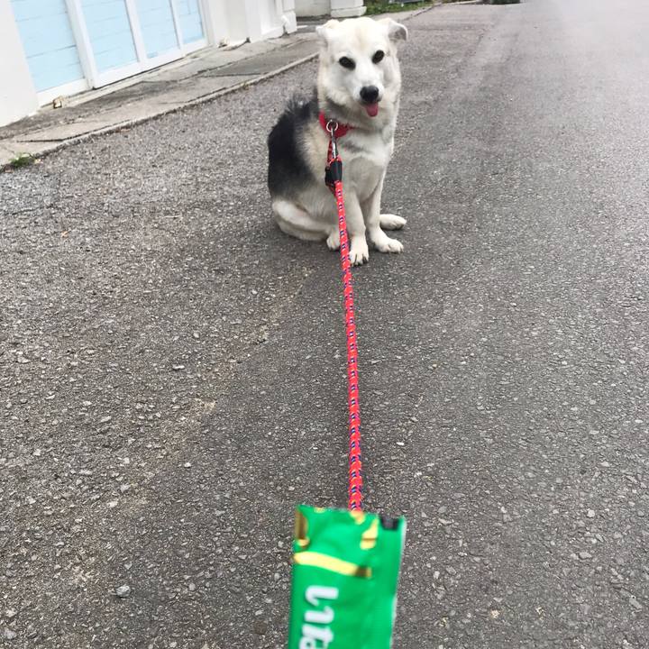 16dfffd5 9d08 477c 9322 c3c188c7d600 1583028196426