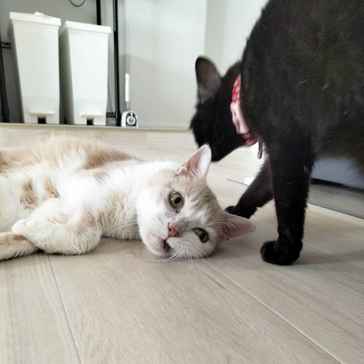 16e01cc0 3c79 4d49 b581 6c3c0122fc58 1687299982824