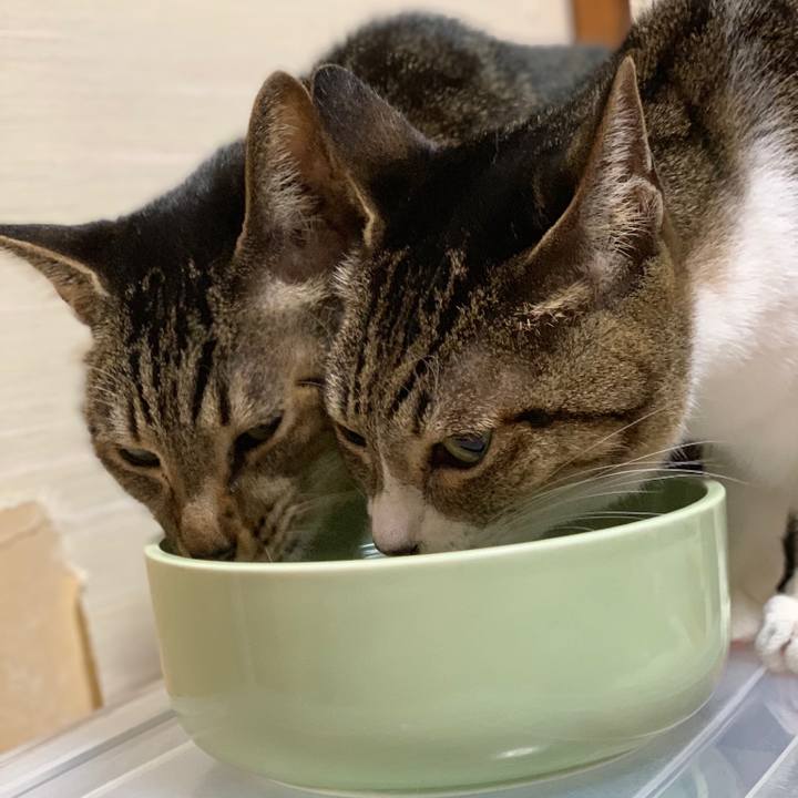 16e023c7 7382 4c5c 949b 0415b511eb45 1557979875092