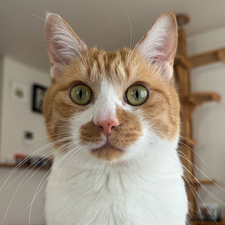 16e035f9 b07d 4e20 8cef c2824f5486a9 1763881441083