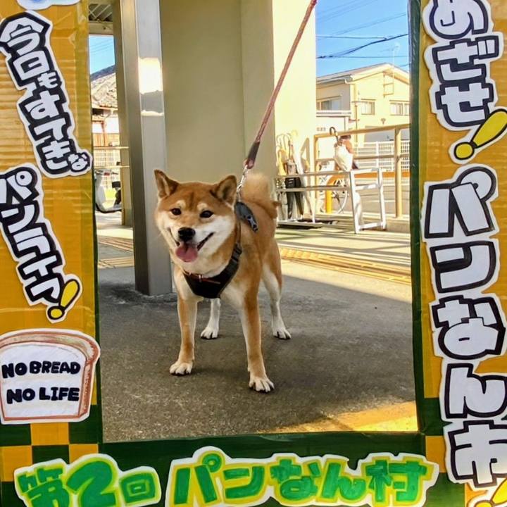 16e05a4b 0453 4008 8970 34eaa588525b 1764586666840