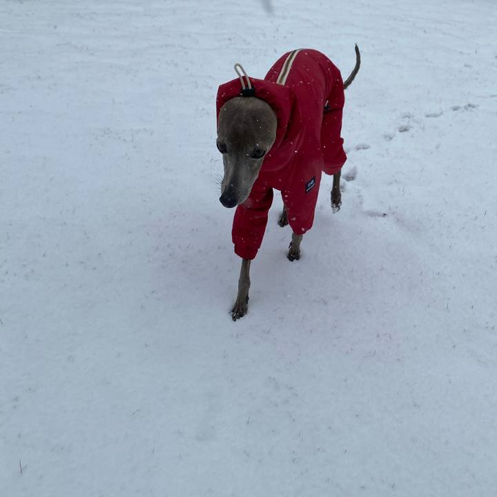 16e0624b e797 4cc4 9090 c4c57b262f93 1770525155344