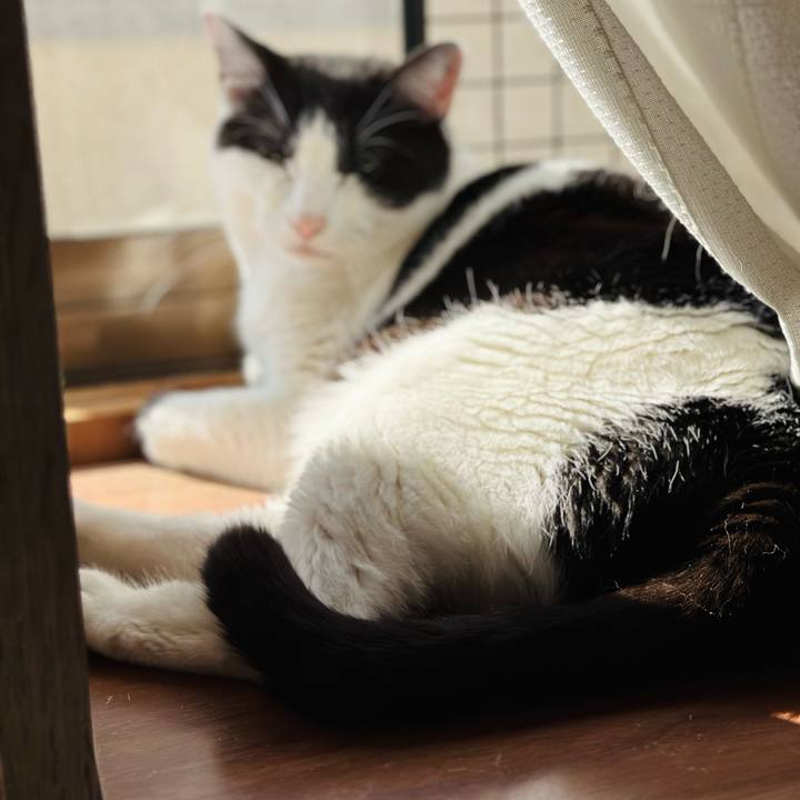 16e06fb6 51c1 49dd a59d e86794a78819 1713143813822