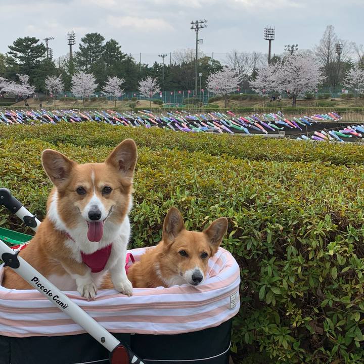 16e07aeb 5b4e 4af6 abfe e1c10d815004 1648709074455