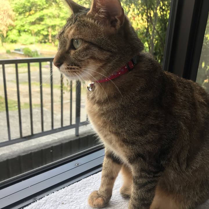 16e0a99e 21c5 4c3a afaa 20f9d6ab9888 1589964565395