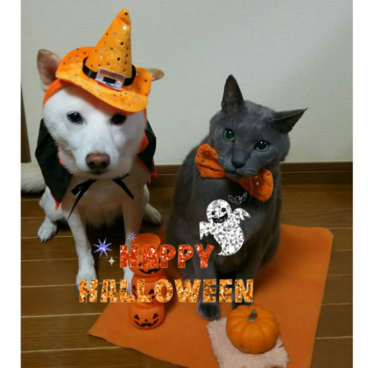 16e0c754 8a1b 4edb b9ae a10cf09fc6a8 1540943594902