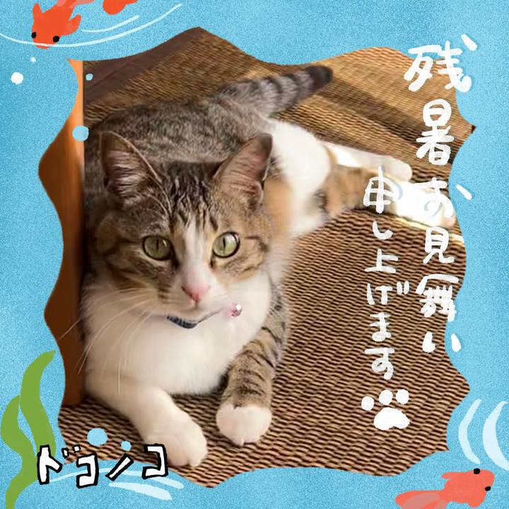 16e10722 fde6 4166 b019 52647d833ded 1723619744508