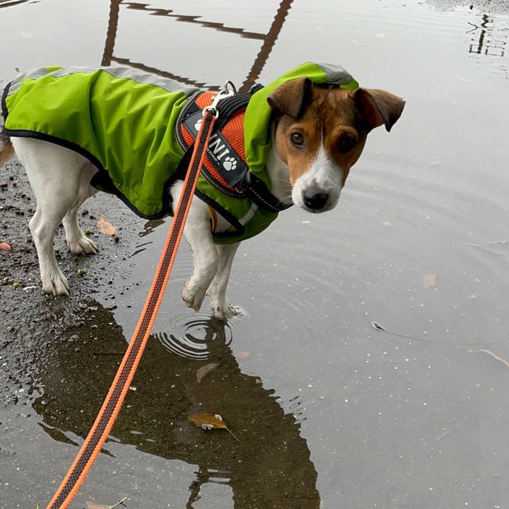 16e12d89 3c22 4338 bbf1 10c49ec1cc87 1696931548834